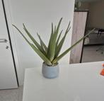 Aloe vera kunstplant, Huis en Inrichting, Kamerplanten, Ophalen of Verzenden