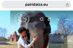 Duo ticket voor Parai Daiza (volwassene) + parking, Tickets en Kaartjes