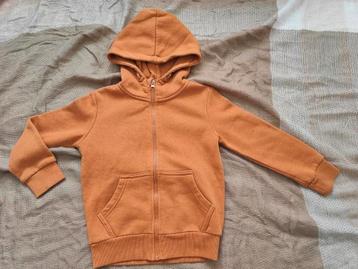 Vestje beschikbaar voor biedingen