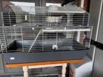 Konijnenhok met verdiep ., Dieren en Toebehoren, Ophalen, Kooi, 60 tot 90 cm, Hamster