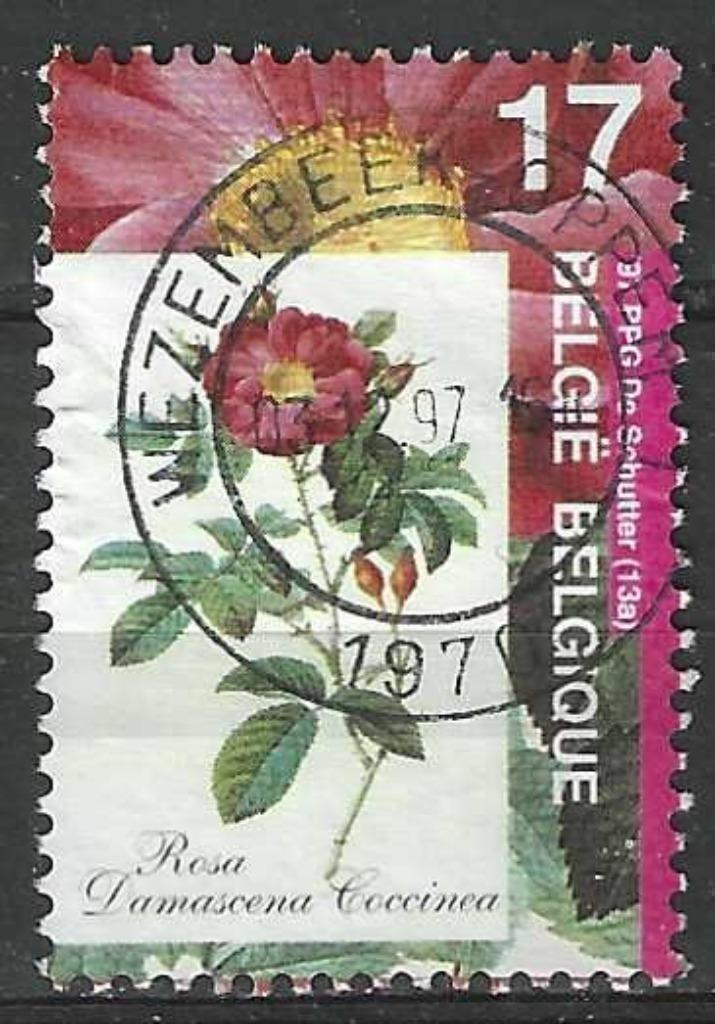 Belgie 1997 - Yvert 2709 /OBP 2708 - Flora - Rozen (ST), Postzegels en Munten, Postzegels | Europa | België, Gestempeld, Verzenden