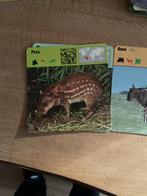 Fiches MAMMIFÈRES à DONNER, Enlèvement, Utilisé