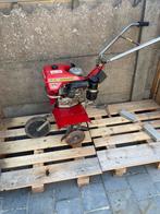 Tuinfrees, Ophalen, Benzine, Gebruikt, Benassi