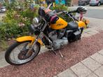 Harley Davidson, Motoren, 2 cilinders, 883 cc, Particulier, Meer dan 35 kW