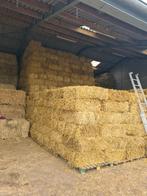 Kleine pakken tarwestro, Dieren en Toebehoren, Dierenvoeding, Ophalen