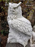 Grote uil (oehoe) in gepatineerde steen, Tuin en Terras, Ophalen, Nieuw, Steen, Dierenbeeld