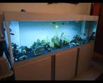 Aquarium, Animaux & Accessoires, Enlèvement, Neuf