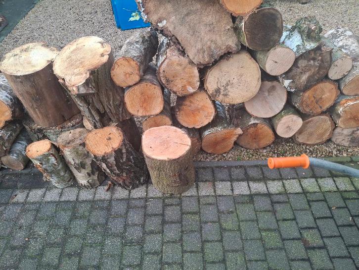 bois de chauffage, Jardin & Terrasse, Bois de chauffage, Bûches, Hêtre, Moins de 3 m³, Enlèvement ou Envoi