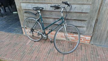Goede damesfiets studentenfiets Compagno beschikbaar voor biedingen