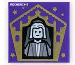 Je recherche Nicholas Flamel, Zo goed als nieuw, Losse stenen, Lego