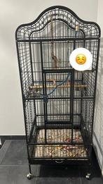 Cage perroquet en tres bonne état, Dieren en Toebehoren, Ophalen, Zo goed als nieuw