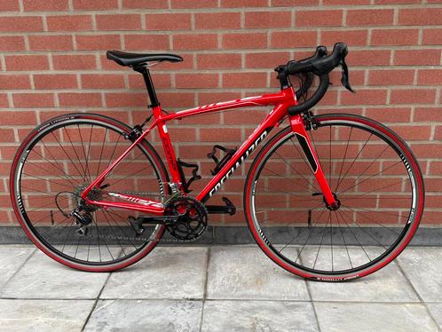 Specialized ❗️Allez dames koersfiets maat 49, Fietsen en Brommers, Fietsen | Racefietsen, Gebruikt, Dames, Overige merken, 15 tot 20 versnellingen