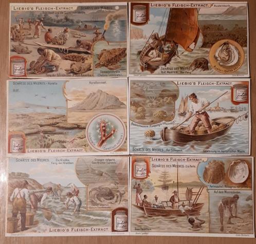 LIEBIG : Kompleet Sang.716 Unif. 717: SCHATZE DES MEERES DUI, Verzamelen, Foto's en Prenten, Gebruikt, Prent, Voor 1940, Verzenden