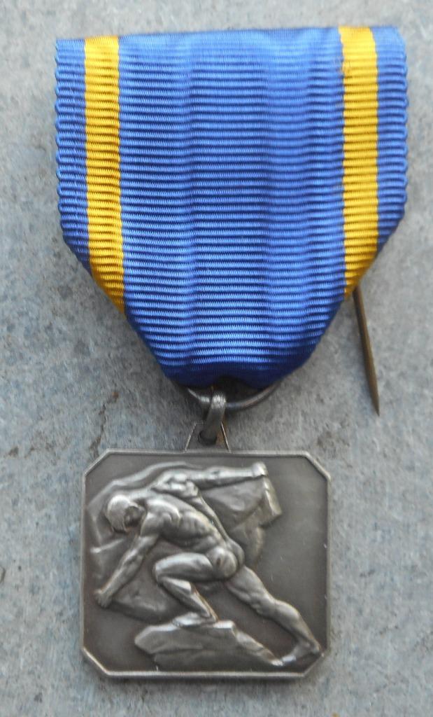 LIEGE: ENCOURAGEMENT FRANCAIS AU DEVELOPPEMENT - MEDAILLE, Verzamelen, Militaria | Algemeen, Overige soorten, Lintje, Medaille of Wings