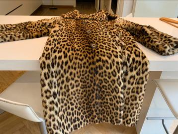 Bont LEOPARD Pels beschikbaar voor biedingen