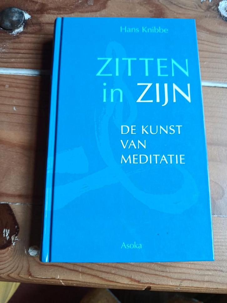 Hans Knibbe - Zitten in Zijn, Boeken, Filosofie, Nieuw, Ophalen of Verzenden