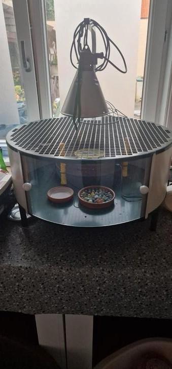 Kuikenkooi incl lamp beschikbaar voor biedingen
