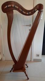 Harp te huur 34 snaren Camac, Muziek en Instrumenten, Snaarinstrumenten | Harpen, Ophalen, Zo goed als nieuw