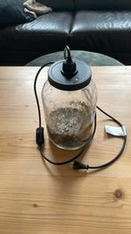 Terrarium voor planten met lamp, Ophalen of Verzenden, Zo goed als nieuw, Glas