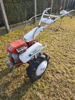 Tuinfrees, Enlèvement ou Envoi, Coupeur de jardin