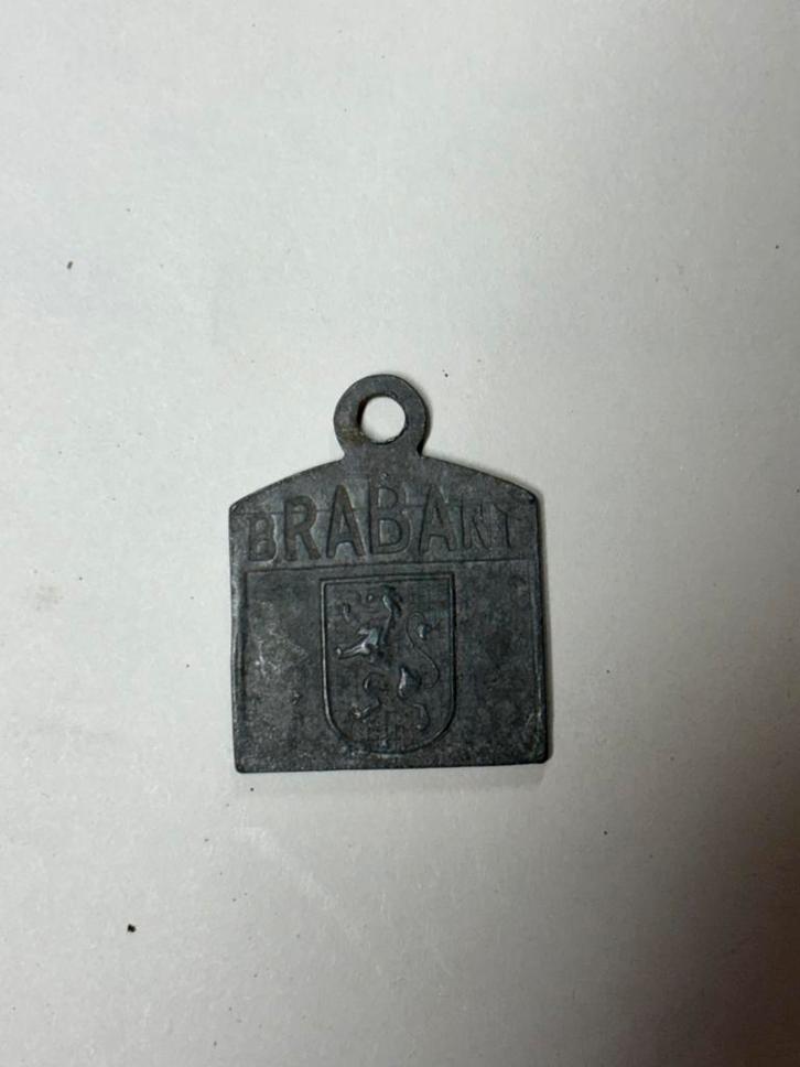 Hondenmedailles hondenpenning 1924 Brabant. Fietsplaat, Timbres & Monnaies, Pièces & Médailles, Enlèvement