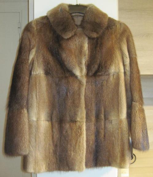 Korte bontjas rat musqué, Kleding | Dames, Jassen | Winter, Gedragen, Maat 38/40 (M), Overige kleuren, Ophalen of Verzenden