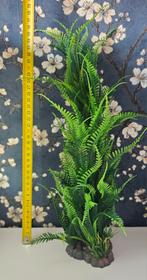 Beateau-decoraties en aquariumplanten, Ophalen of Verzenden