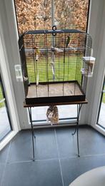 Cage reto lux sur pied, Dieren en Toebehoren, Ophalen
