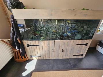 Aquarium à vendre, Enlèvement, Comme neuf