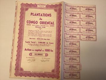 Actions plantations du Congo oriental et charbonnage  beschikbaar voor biedingen