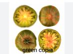 Green copia tomatenzaden 10 stuks, Ophalen of Verzenden