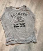 nieuwe grijze trui L, Kleding | Dames, Truien en Vesten, Ophalen of Verzenden, Nieuw, Maat 42/44 (L), Grijs