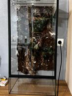 Terrarium, Enlèvement, Comme neuf