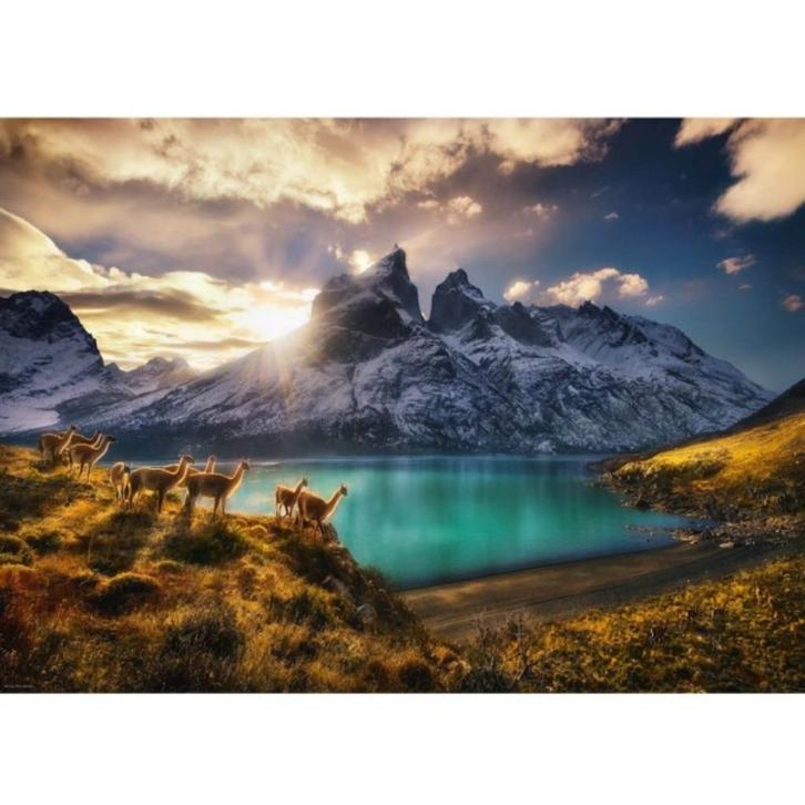 Puzzel met wilde lama's - 1000 st., Hobby en Vrije tijd, Denksport en Puzzels, Gebruikt, Legpuzzel, 500 t/m 1500 stukjes, Ophalen of Verzenden