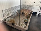 Cage à lapin avec tous les accessoires, Animaux & Accessoires, Rongeurs & Lapins | Cages & Clapiers, Comme neuf, Lapin, Cage