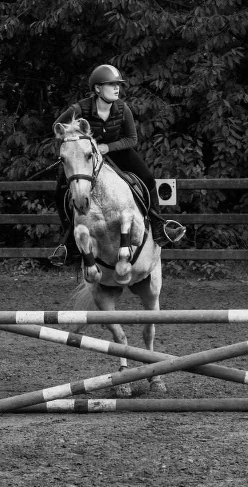 Ervaren ruiter om je paard te berijden, Animaux & Accessoires, Chevaux