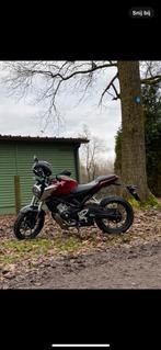 Motor cb125r, Naked bike, Particulier, 125 cc