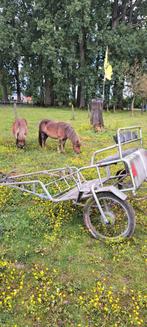 Ponykoets voor Shetlander, Dieren en Toebehoren, Rijtuigen en Koetsen, Gebruikt, Sulky, Pony