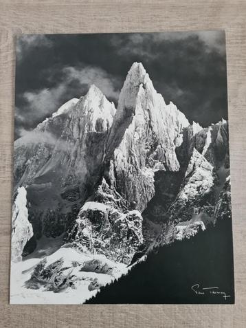 Foto: Pierre Tairraz les Drus beschikbaar voor biedingen