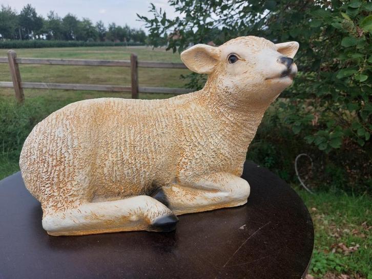 TEXEL liggend lam, Dieren en Toebehoren, Schapen, Geiten en Varkens