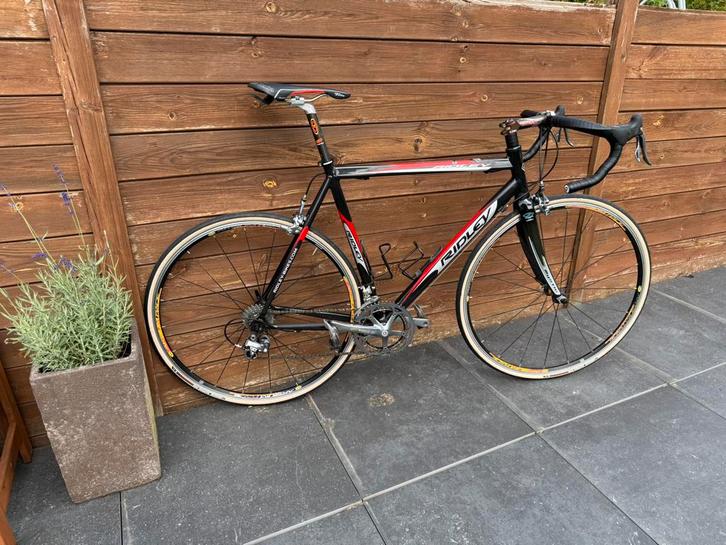 Ridley koersfiets maat 57 in nieuwe staat Campagnolo., Fietsen en Brommers, Fietsen | Racefietsen, Nieuw, Overige merken, 15 tot 20 versnellingen