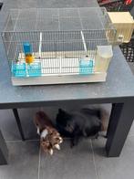 Kweekkooi  55 x 27 x 35cm hoogte, Dieren en Toebehoren
