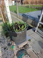 Allerhande, Enlèvement, Utilisé