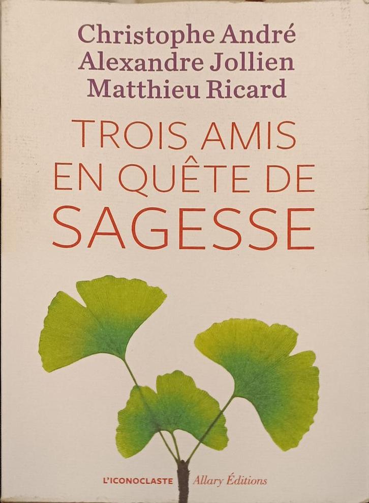 3 (trois) amis en quête de sagesse : GRAND FORMAT, Boeken, Esoterie en Spiritualiteit, Gelezen, Achtergrond en Informatie, Meditatie of Yoga