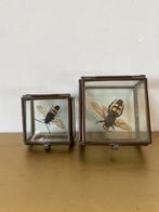 2 stolpen met reuzendolkwesp, Ophalen of Verzenden, Gebruikt