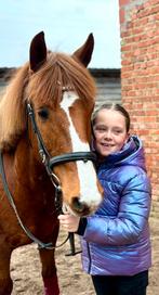 Super lieve pony, Dieren en Toebehoren, Pony's