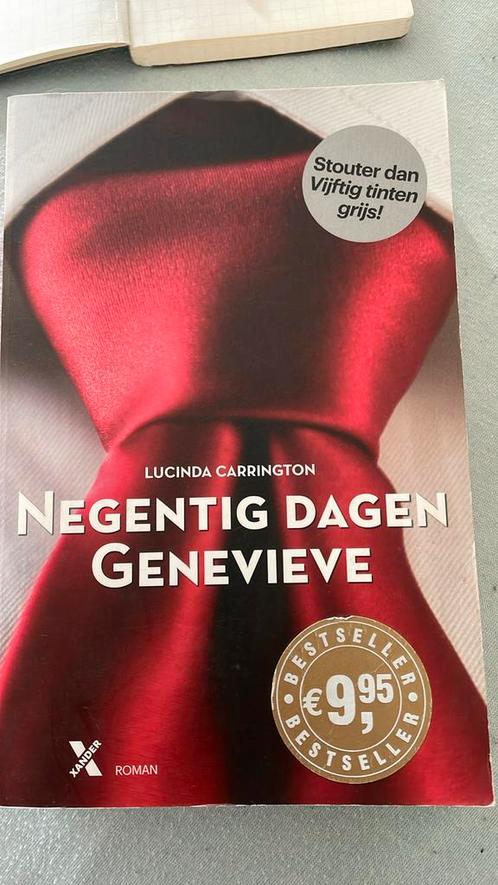 Lucinda Carrington - Negentig dagen Genevieve, Boeken, Literatuur, Zo goed als nieuw, Amerika, Ophalen of Verzenden
