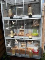 Cage d’élevage 3 compartiments, Comme neuf