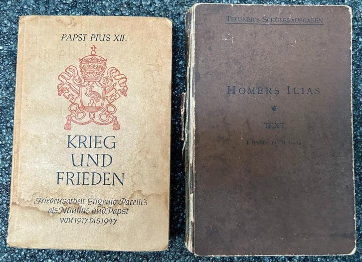 Homers Ilias & Krieg und Frieden, Boeken, Literatuur, Gelezen, Ophalen of Verzenden