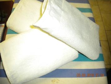  3 kleine handdoeken + 1 witte badhanddoek  beschikbaar voor biedingen